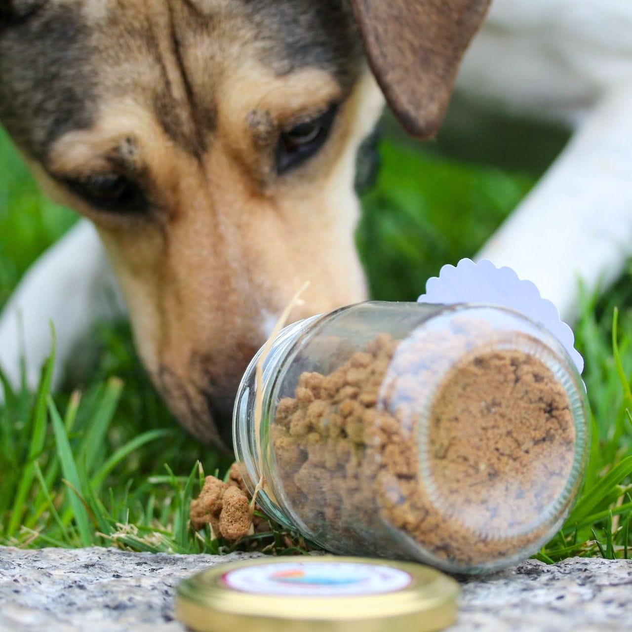 Alimentação animal comprada em quantidade, métodos para prolongar a validade, produtores portugueses, murta.eco