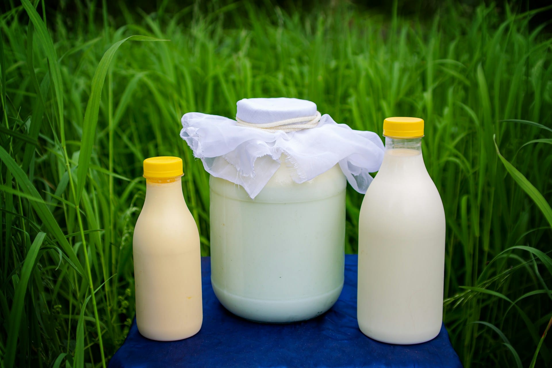 Saiba como criar farelo bokashi a partir de água de arroz, leite e farelo de cereal, seja autossuficiente na sua compostagem doméstica