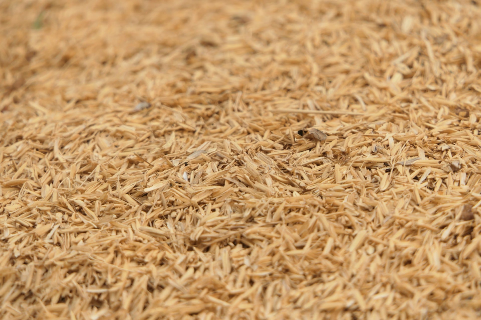 Aprenda os passos para criar o seu farelo para compostagem doméstica bokashi, seja autossuficiente e reutilize os seus restos alimentares