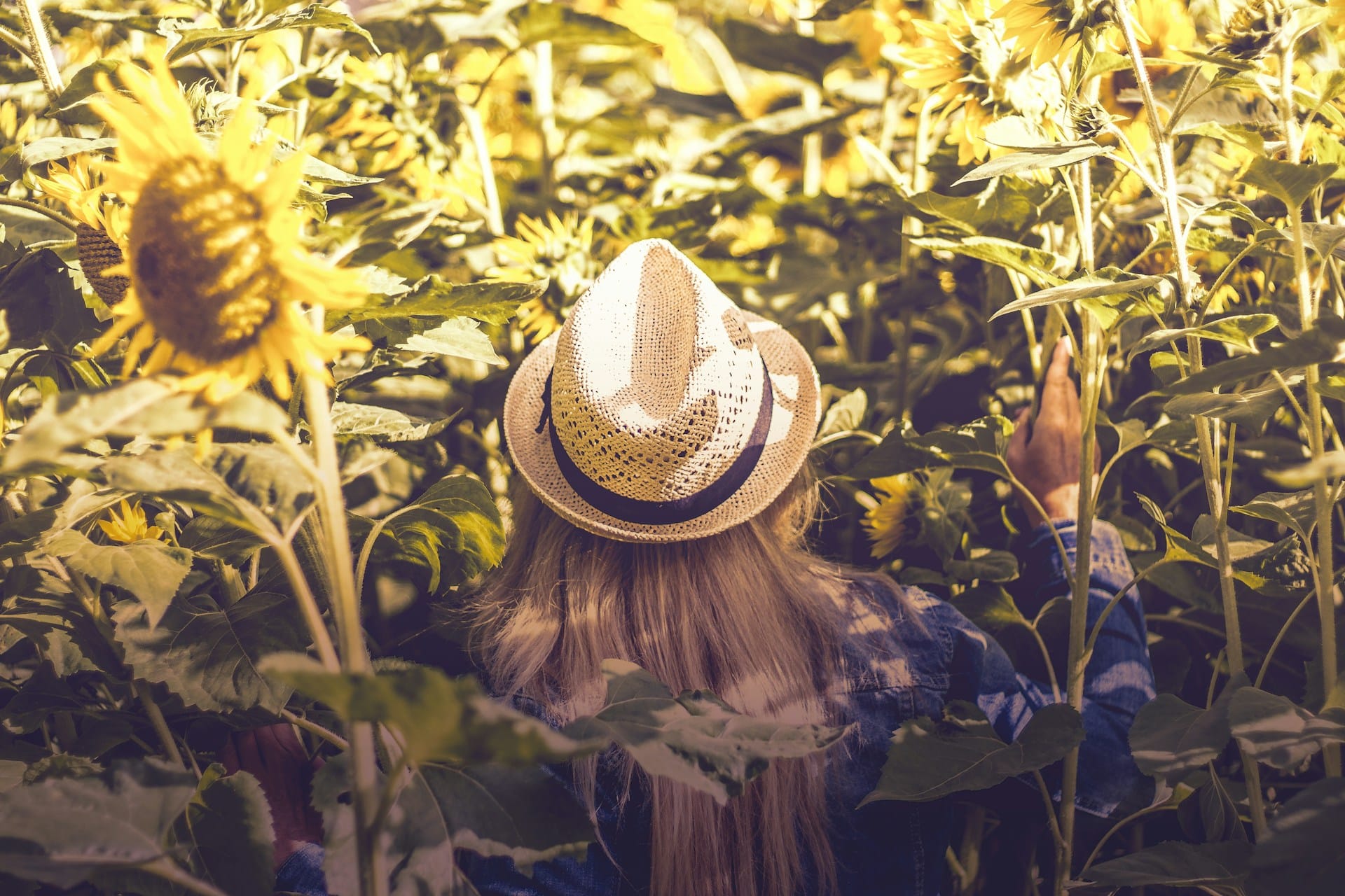 Dicas para lidar com o calor e ondas de calor no verão, janelas, cortinados, alimentação, vestuário, duches, animais, saiba como reduzir a sua pegada ecológica e manter as contas reduzidas