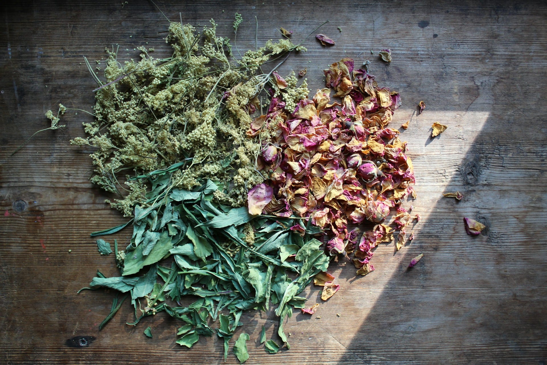 Aprenda a preservar legumes, frutas, ervas aromáticas, flores e até cogumelos ao sol, no forno e no desidratador