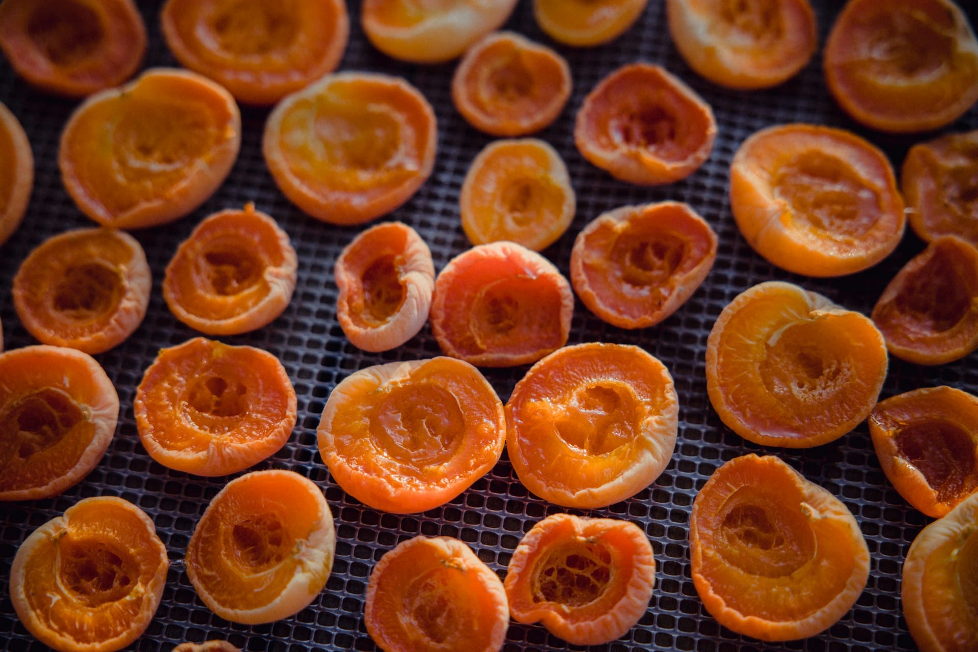 Aprenda 3 métodos para desidratar alimentos ao sol, no forno doméstico e no desidratador de forma simples e com qualquer alimento