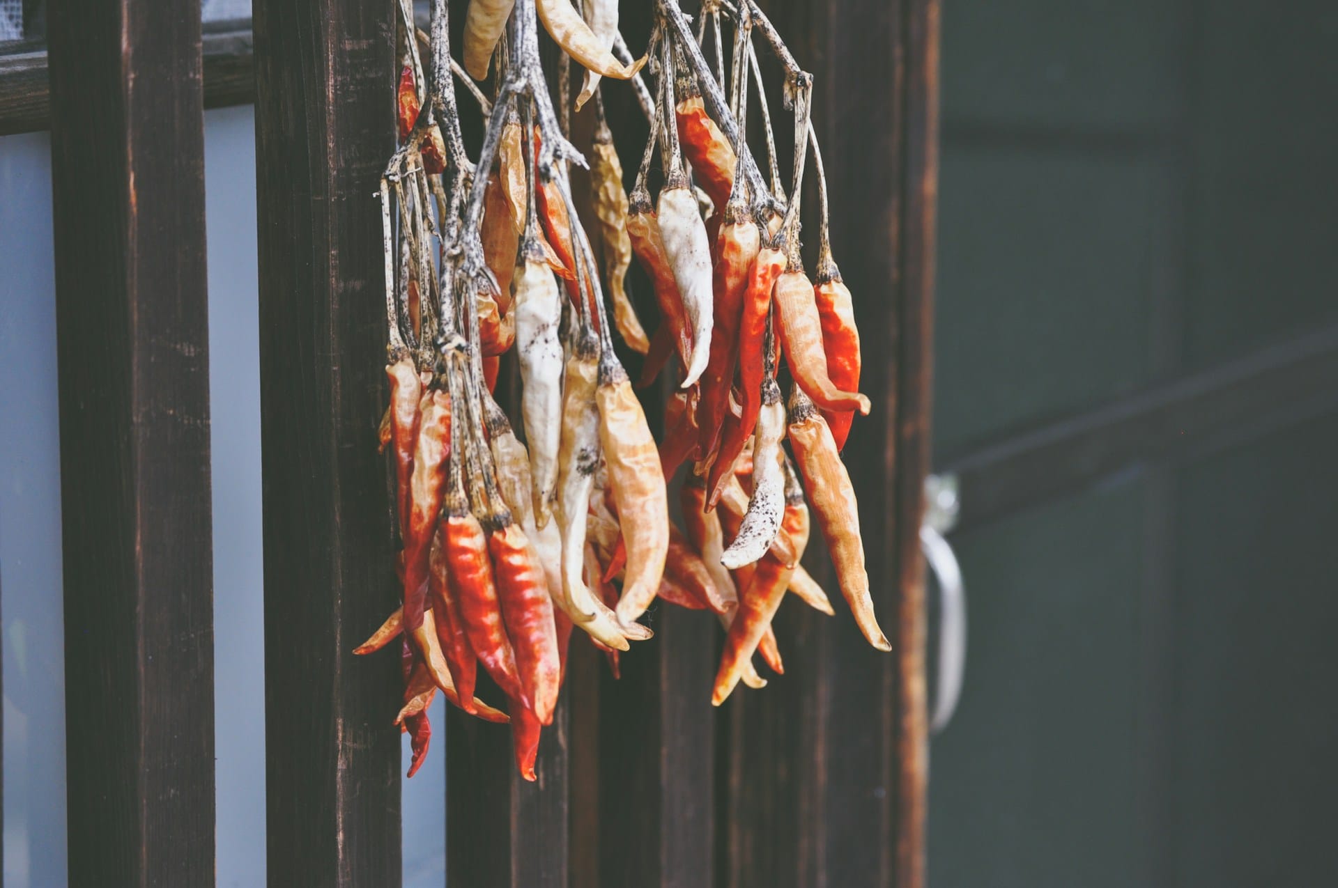 Aprenda a preservar as frutas, legumes, aromáticas e flores da sua horta com o sol, o forno e até um desidratador