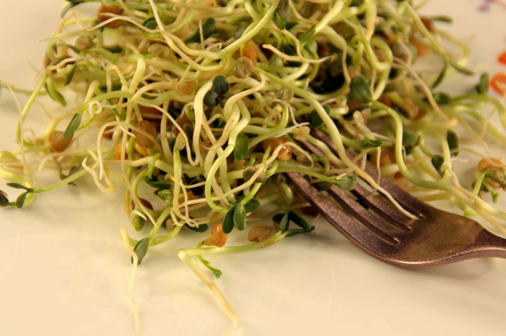 Aprenda a germinar sementes com frascos, recipientes ou germinadores, de forma simples, prática, apenas com água e ar, melhore a nutrição da sua família
