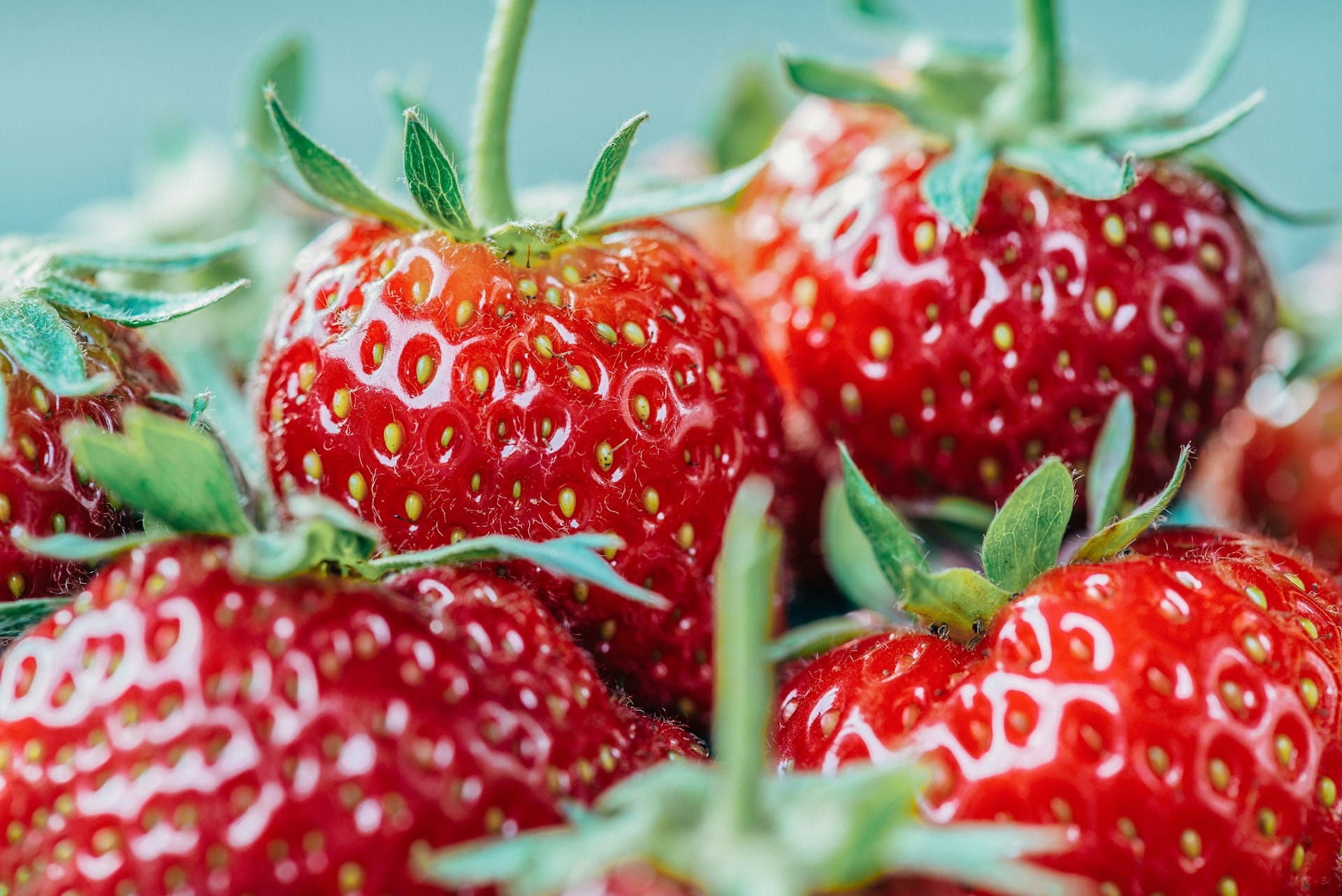 Quatro receitas para criar compota, gelado e licor com morangos, amoras e frutos moles, aumente a validade dos seus frutos e desfrute dos seus sabores ao longo do ano