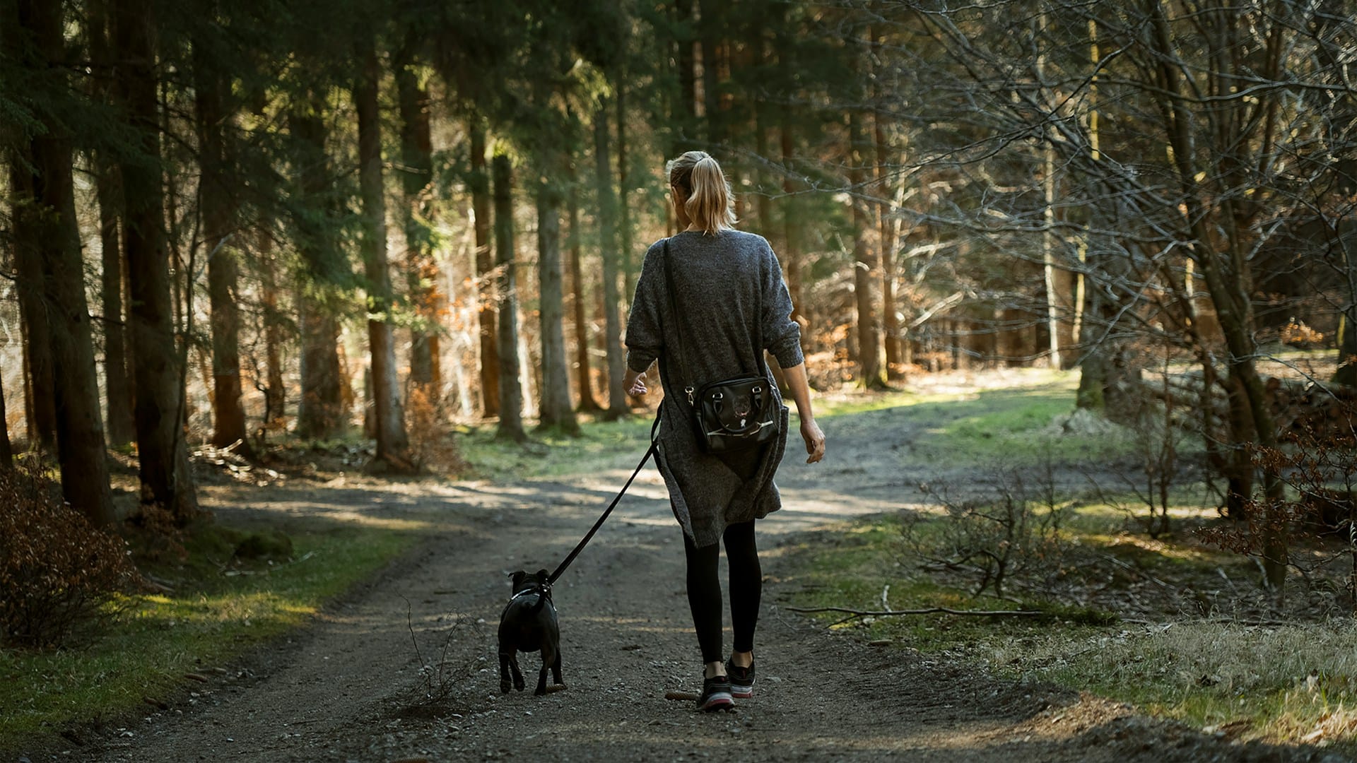 Cinto e trela acessórios de passeio práticos para cães que não puxam na passear artesanais e portugueses são perfeitos para aventuras e mãos livres