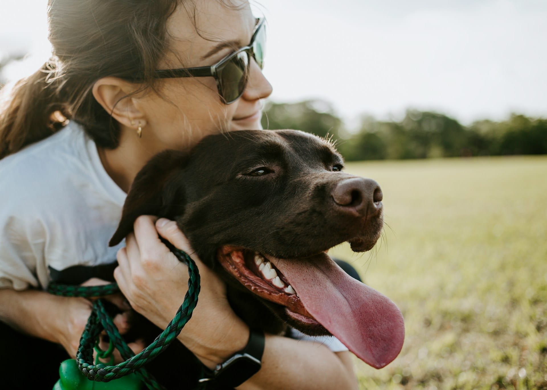 Aprenda a criar receitas simples e com ingredientes comuns para prevenir problemas de saúde dentária no seu cão, mantenha-o feliz e ativo com soluções naturais e eficazes