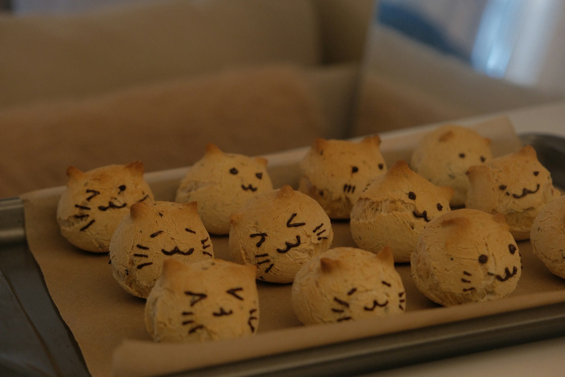 Saiba como criar biscoitos de queijo caseiros para gatos e delicie o seu gato com snacks naturais saudáveis e deliciosos