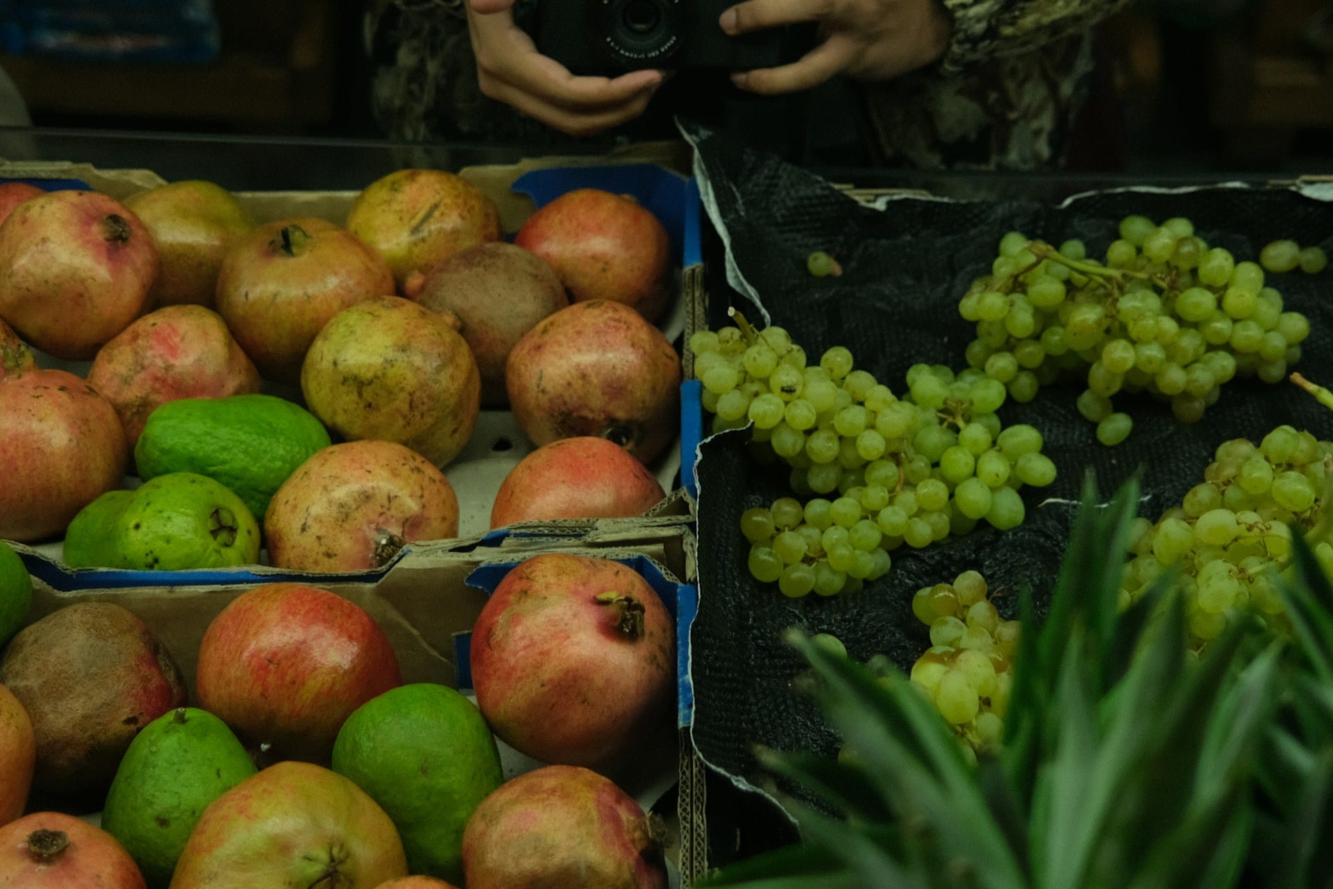 Conheça a lista geral de legumes frutas ervas aromáticas e flores para colher e comprar em mercados locais e sazonais