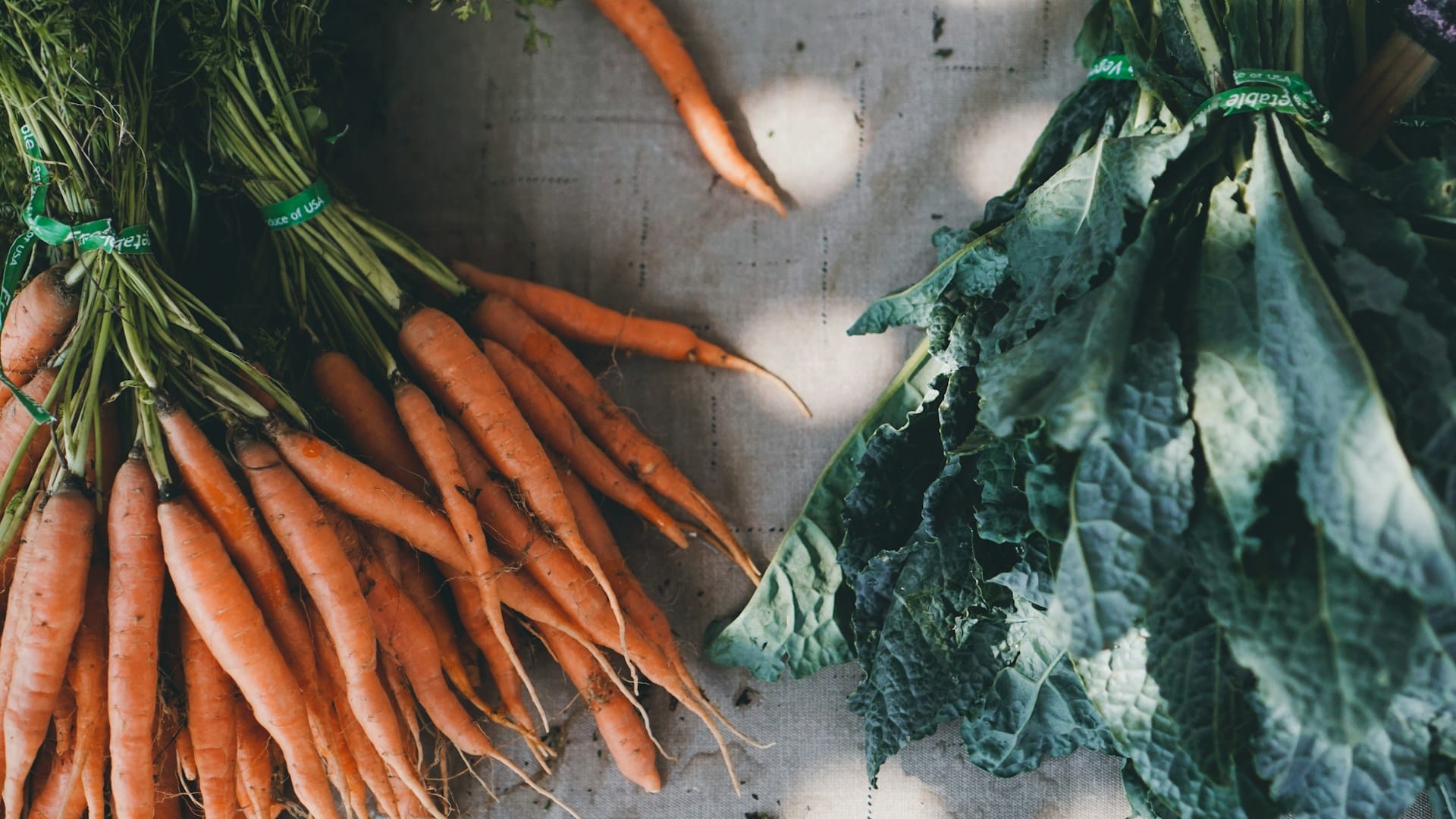 Cultivar em Setembro: Legumes, Frutas, Aromáticas e Flores