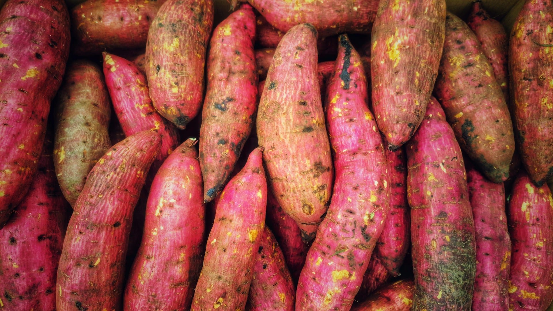 Saiba como utilizar a casca de batata doce biológica e tire partido dos seus nutrientes, duas sugestões de receita para utilizar casca de batata