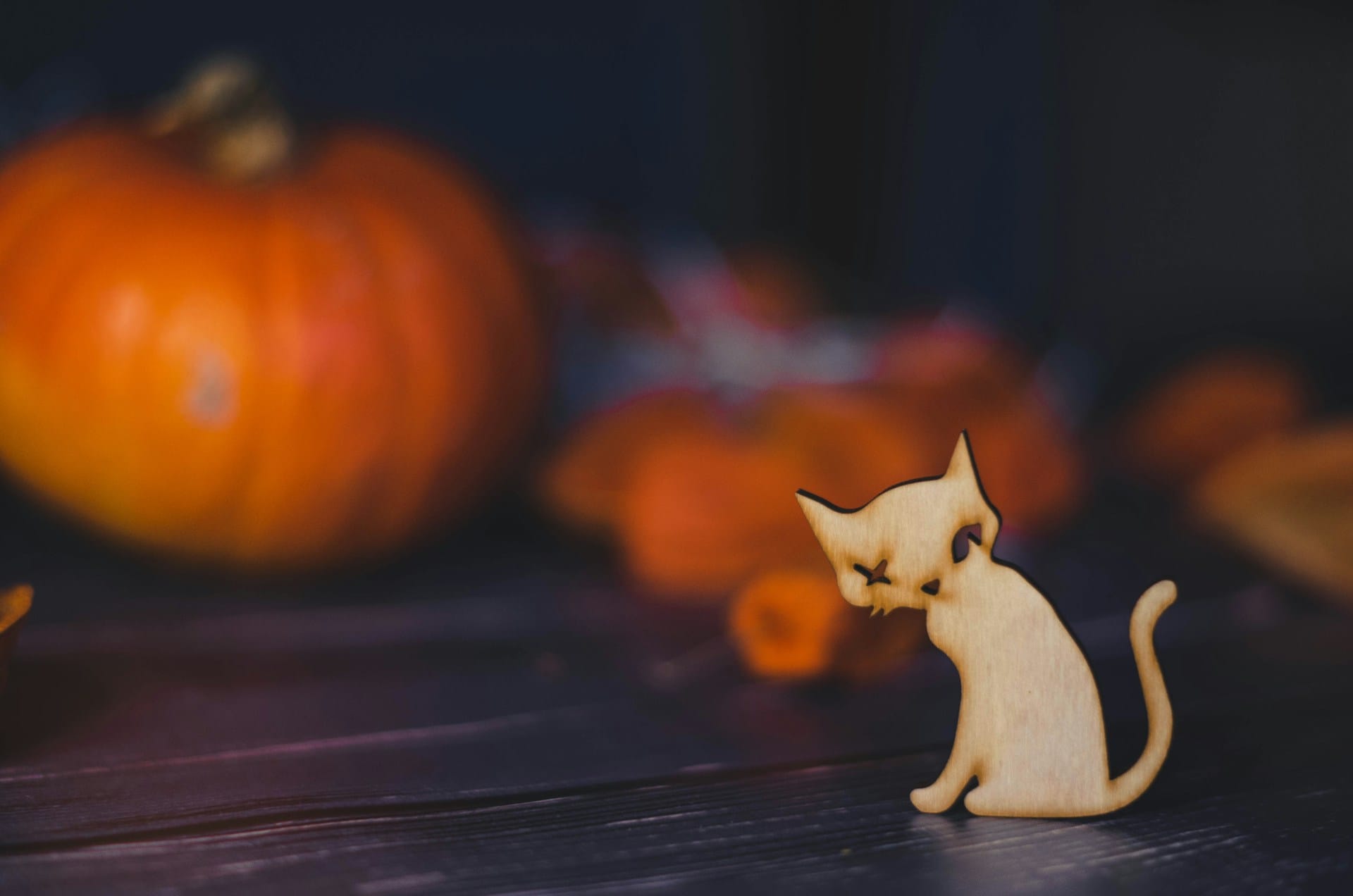 Sugestões de decoração de halloween simples e divertida para toda a família, decore e divirta-se neste dia das bruxas