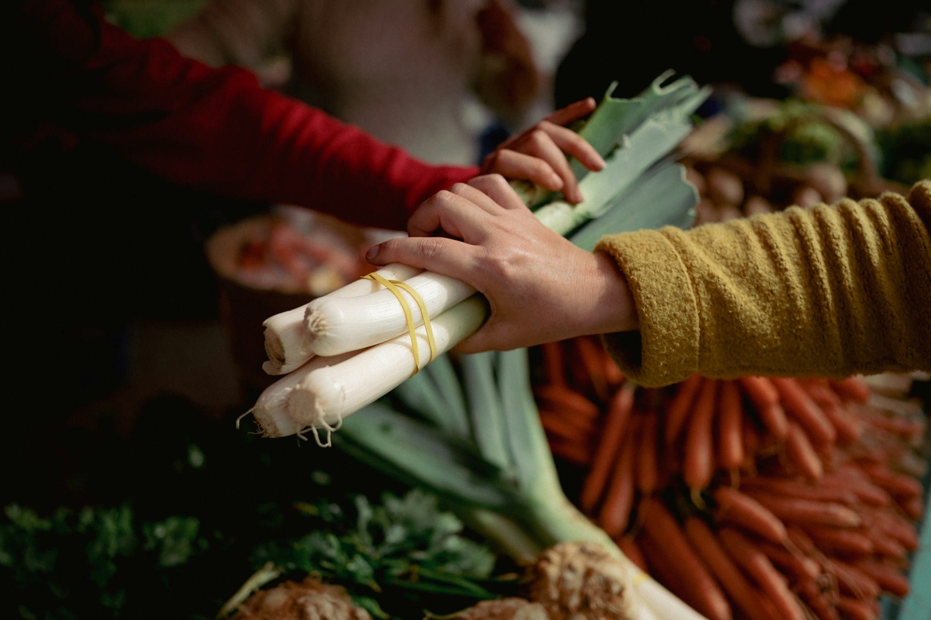 Legumes, Frutas, Aromáticas e Flores de Novembro