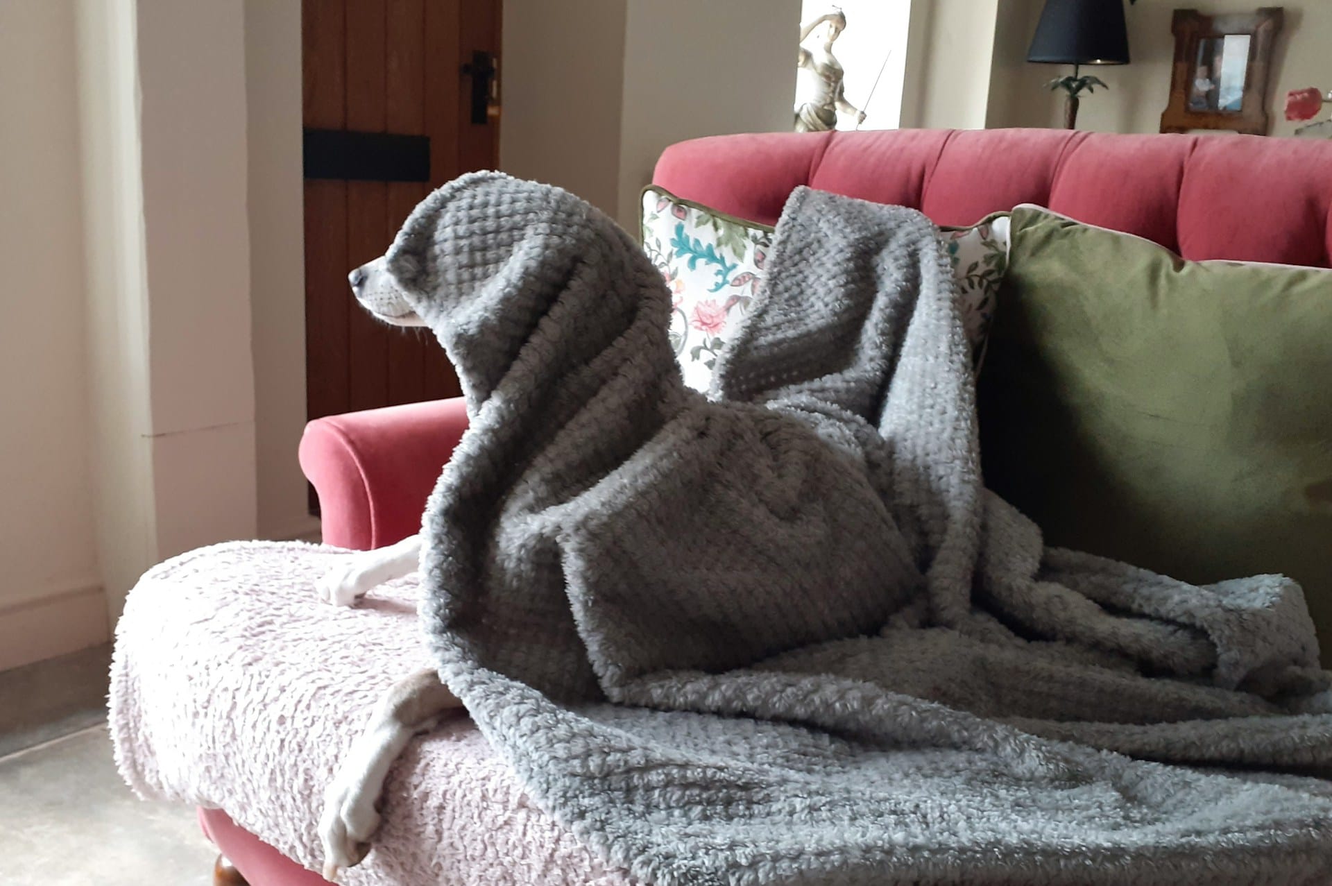 Aprenda a preparar a sua casa para enfrentar o frio do outono e do inverno sem aumentar muito os gastos energéticos