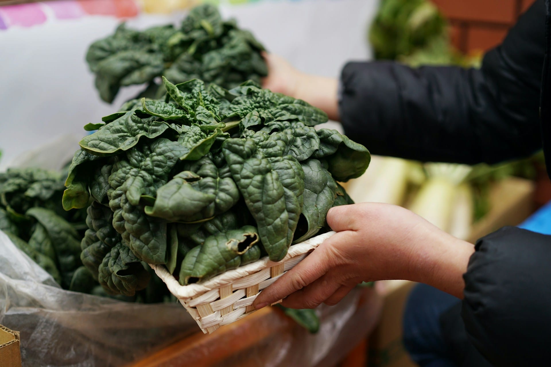 Legumes, Frutas, Aromáticas e Flores de Dezembro
