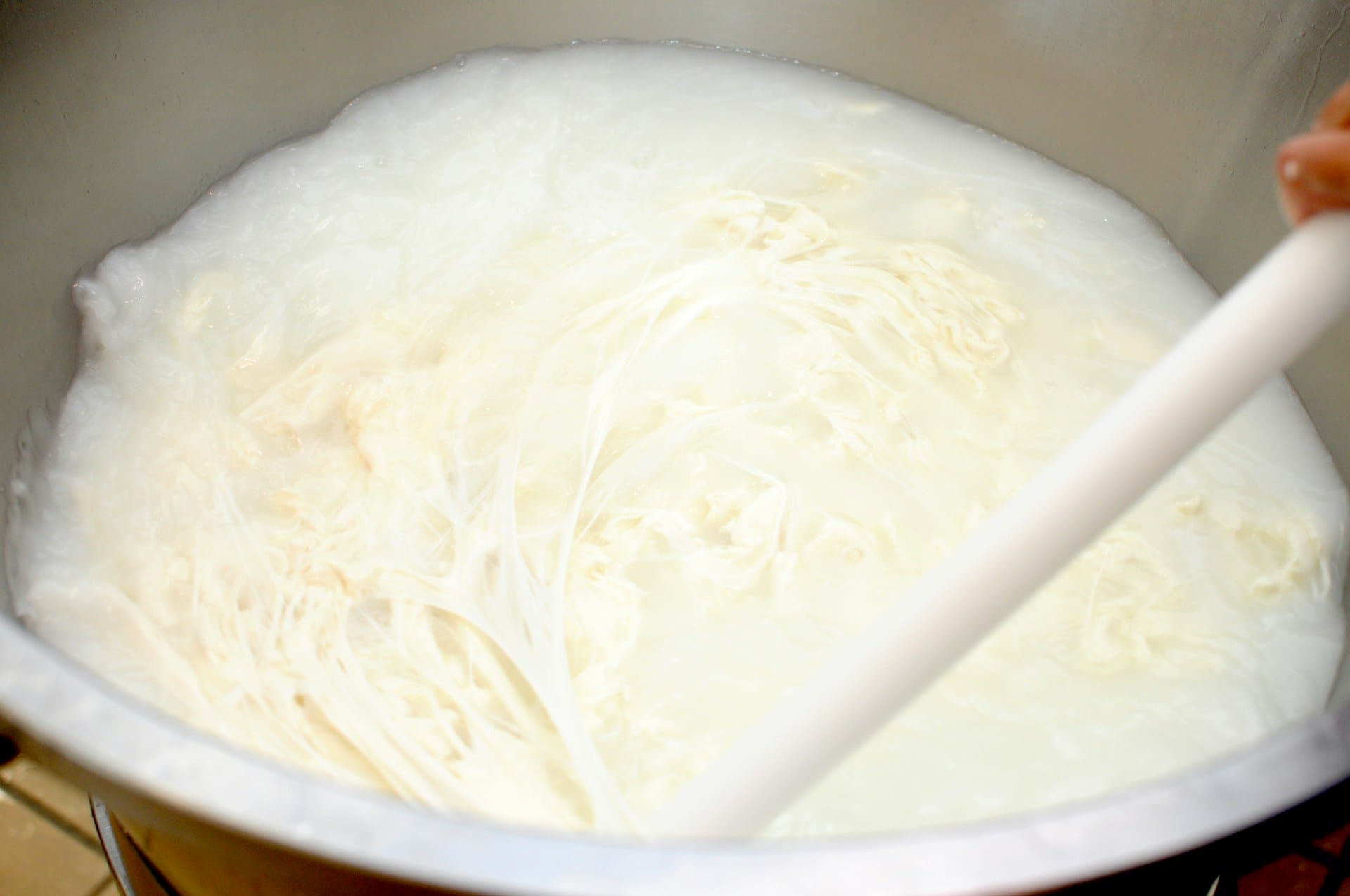 Aprenda a receita de aletria vegan sem leite e sem ovos mas um sabor muito semelhante a Natal