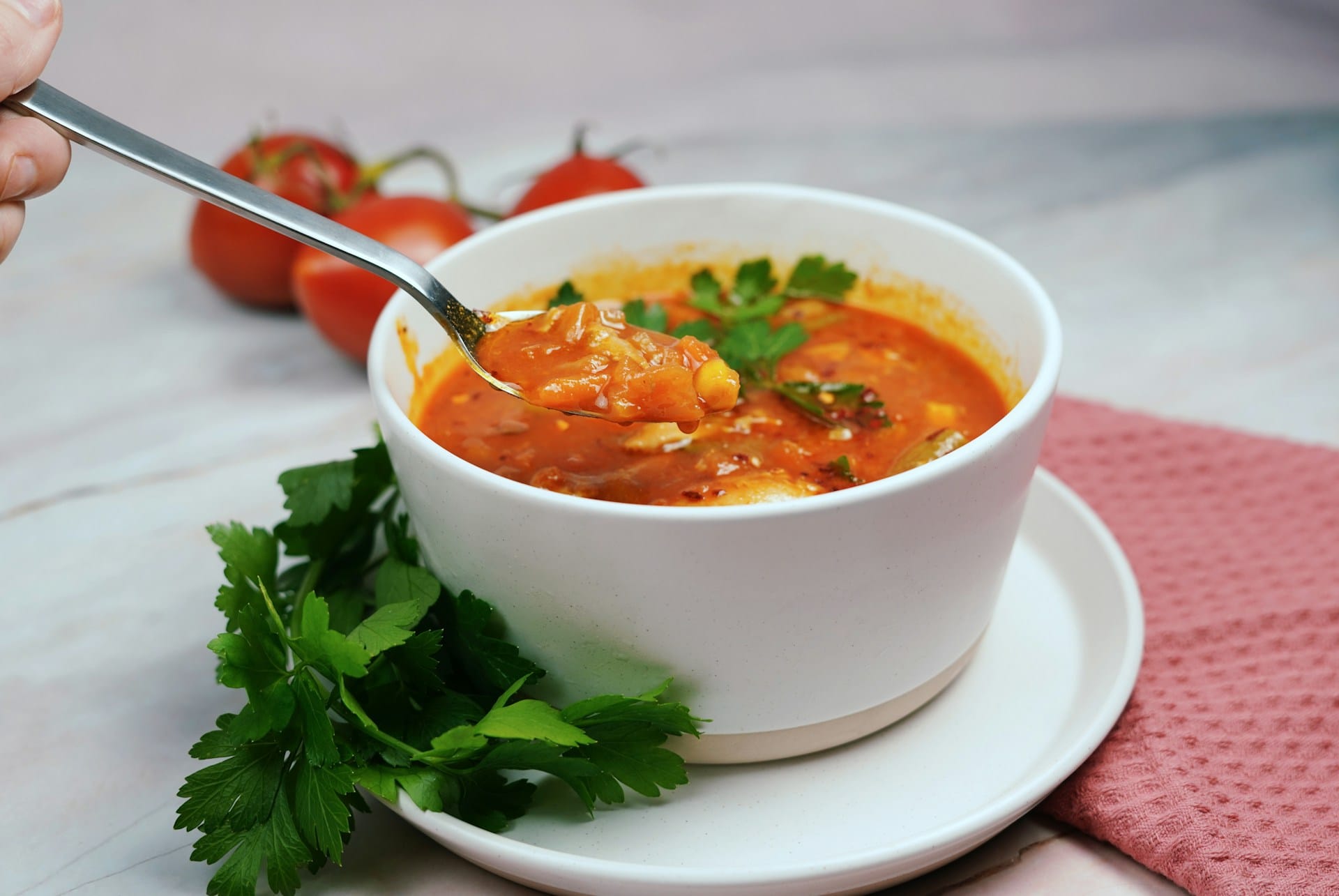 Sugestão e receita de sopa de peru picante com lentilhas vermelhas e sobras de carne 