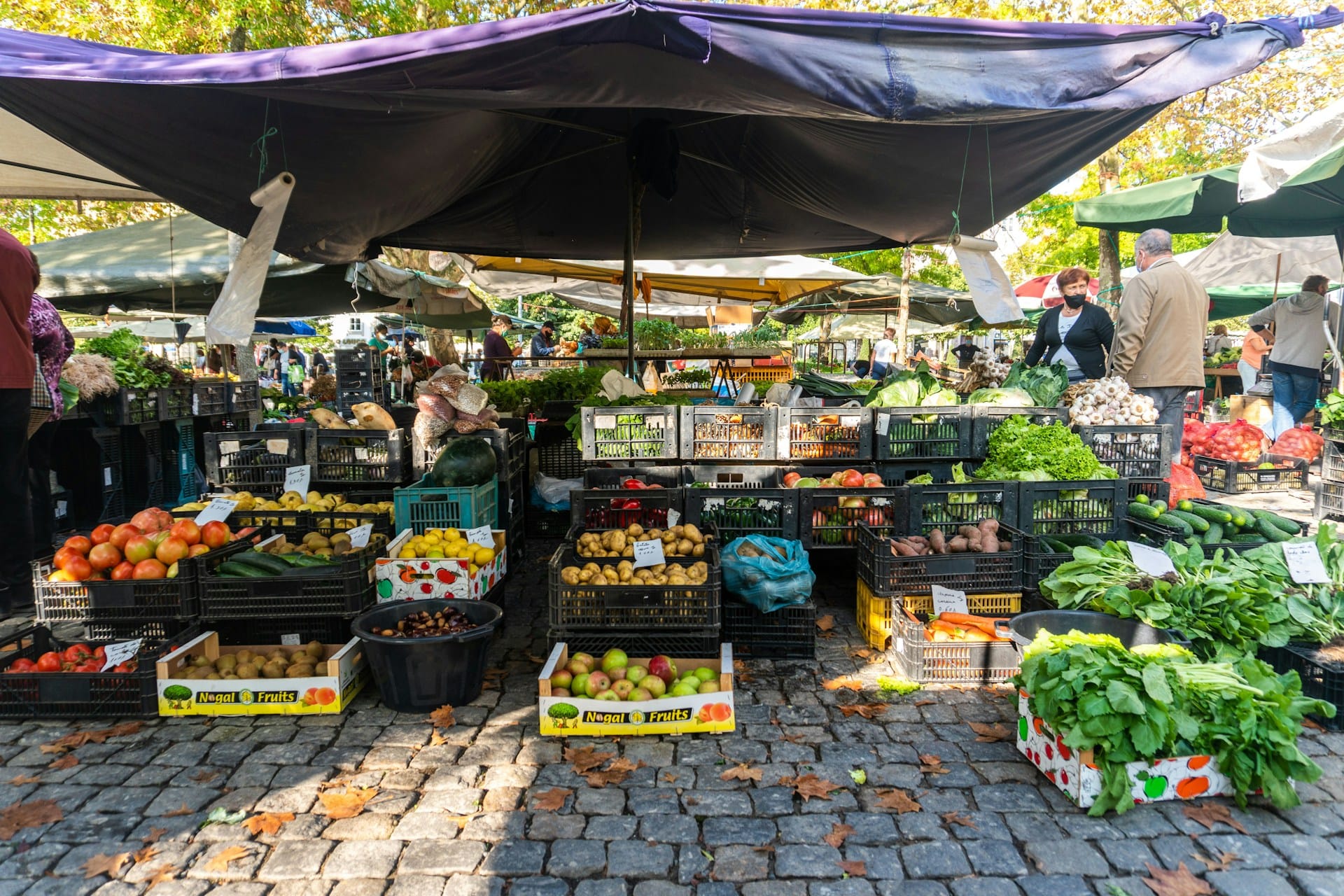 Saiba como cumprir uma alimentação sustentável e equilibrada com alimentos frescos nacionais e em época