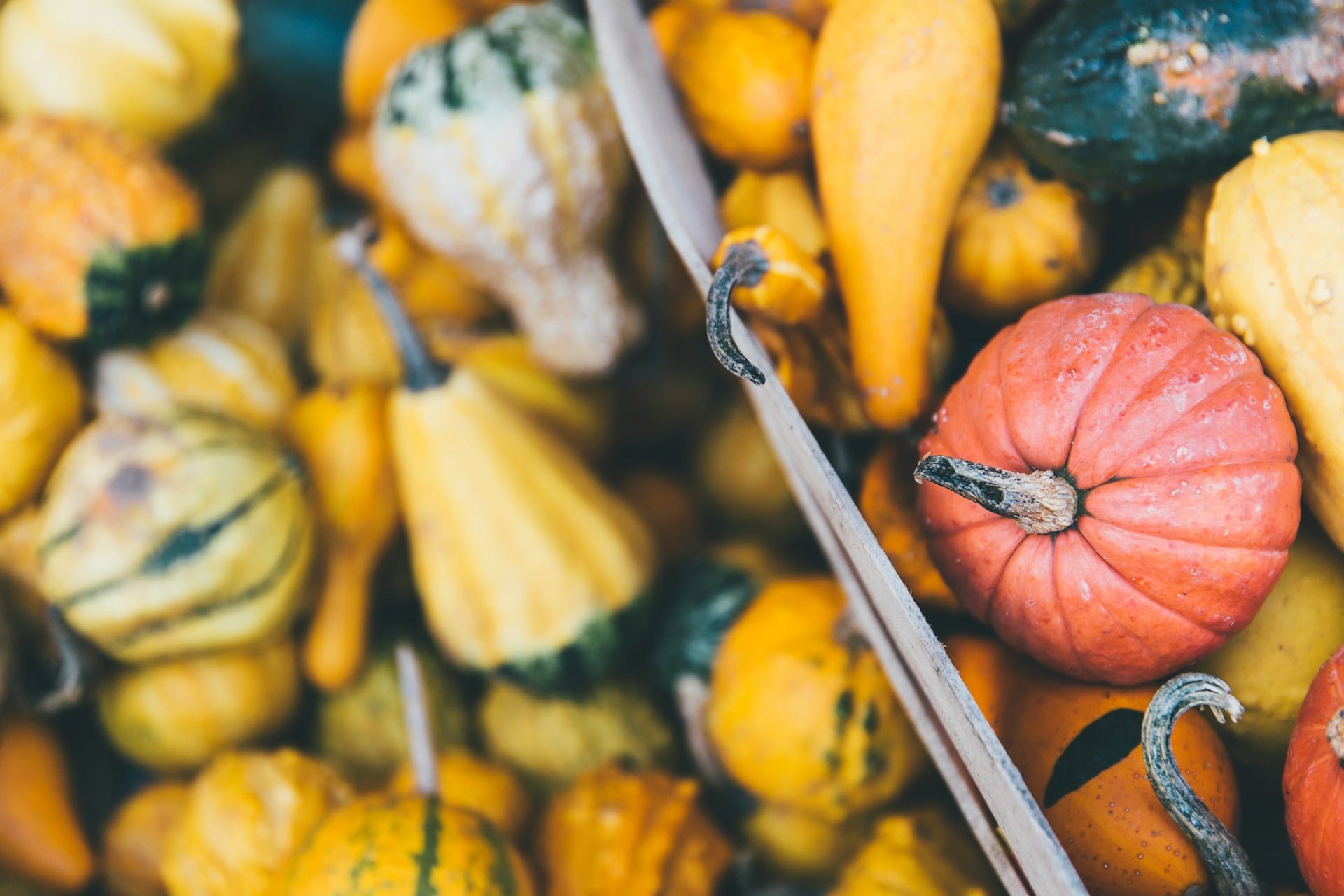Lista de hortícolas legumes frutas frutos secos e pescado em época para comprar no inverno dezembro janeiro fevereiro e março