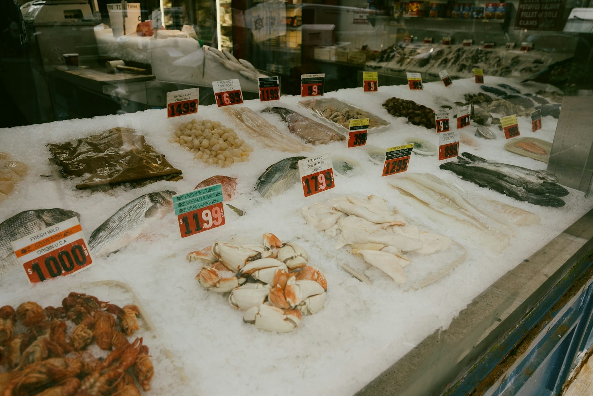 Qual o pescado peixe e marisco em época no Inverno dezembro janeiro fevereiro e março em Portugal