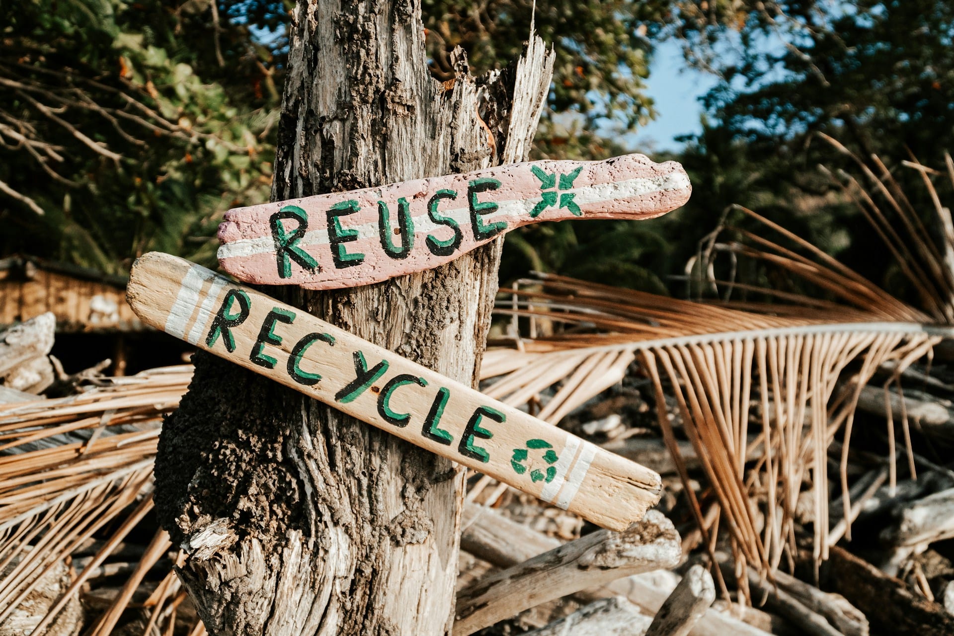 A importância da passagem da informação que o reciclar deve ficar para último antes deve vir a redução e a reutilização