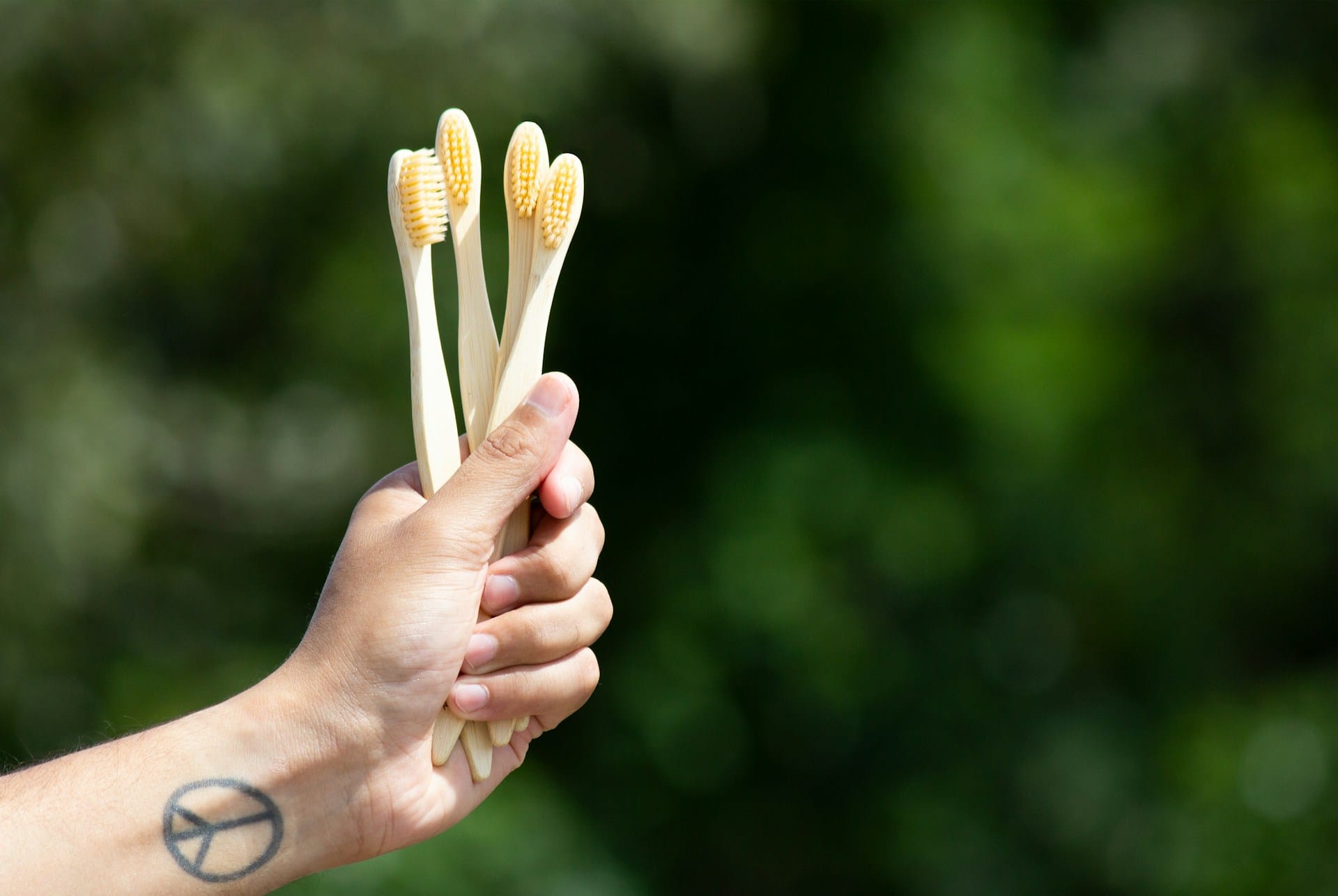 Conheça as opções recicláveis naturais e biodegradáveis portuguesas disponíveis para a higiene dentária