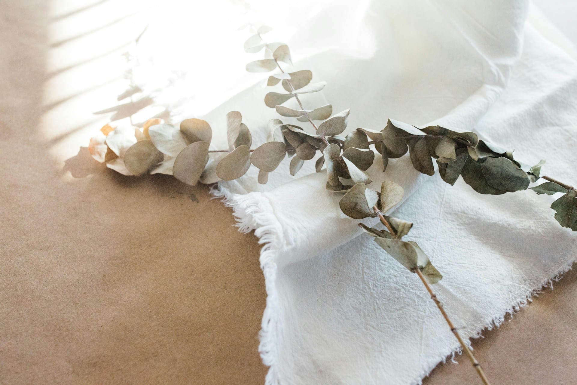 Aprenda a conservar folhas secas com cera de abelha preserve folhas como o eucalipto de forma natural