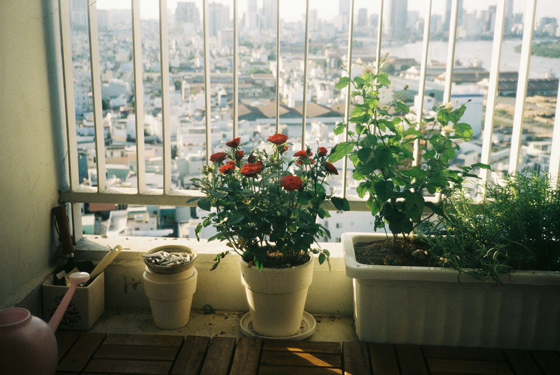 Como ir desenvolvendo aos poucos o gosto por cultivar alimentos em vasos seja qual for o espaço exterior que tenha disponível