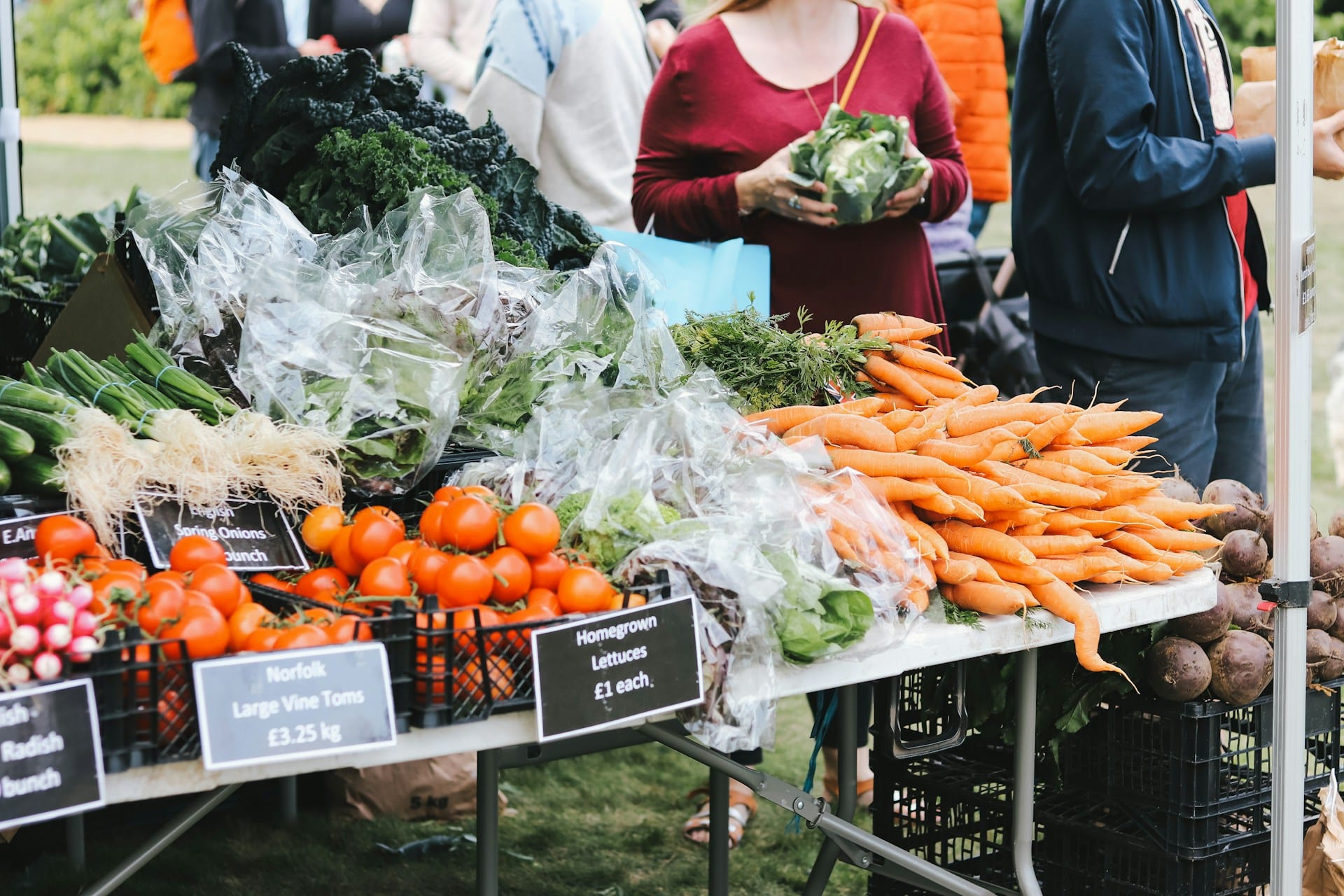Como as nossas escolhas definem a oferta de produtores e pescadores e como começar uma alimentação sazonal e sustentável