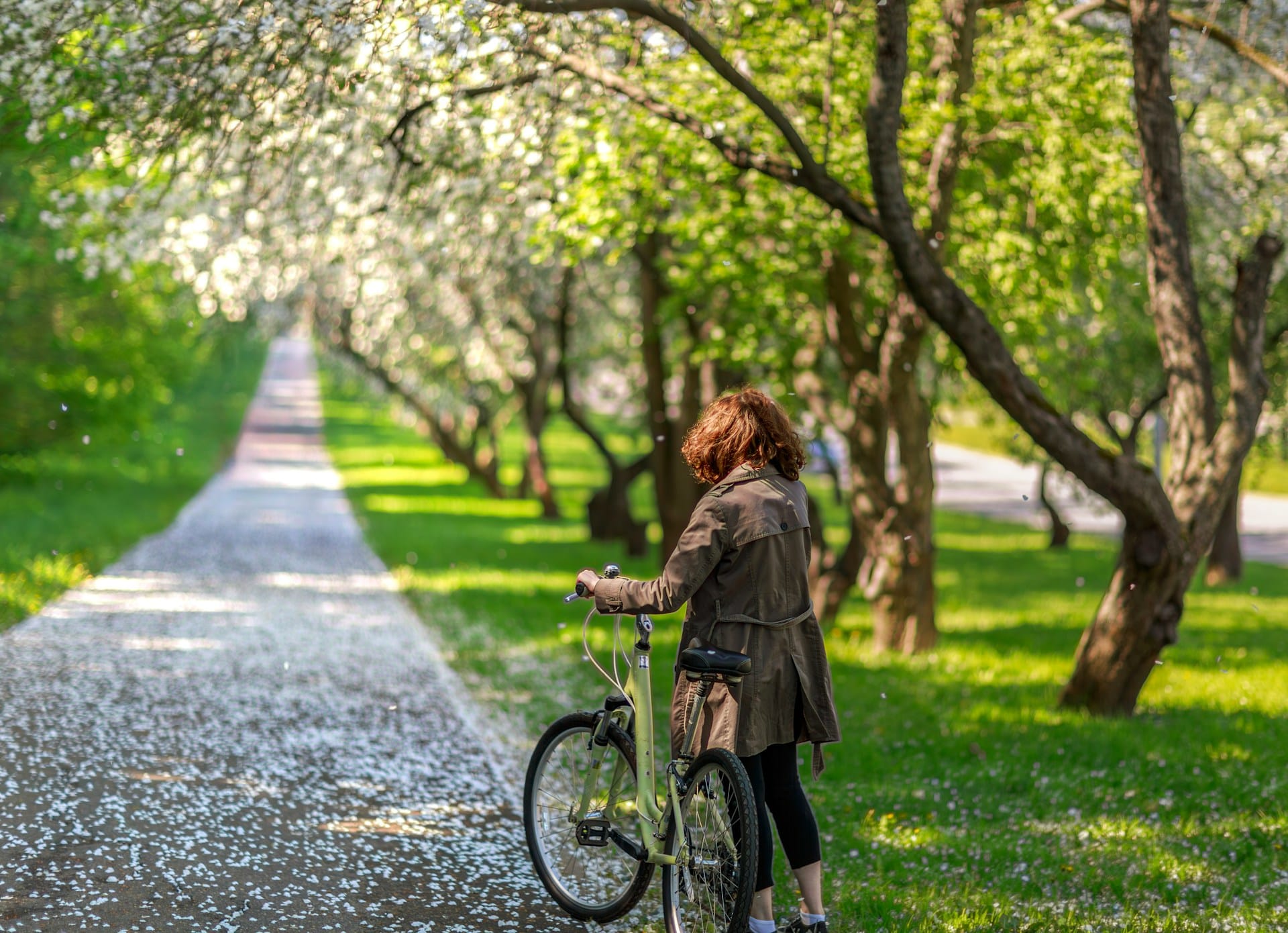 Guia para uma Primavera Sustentável