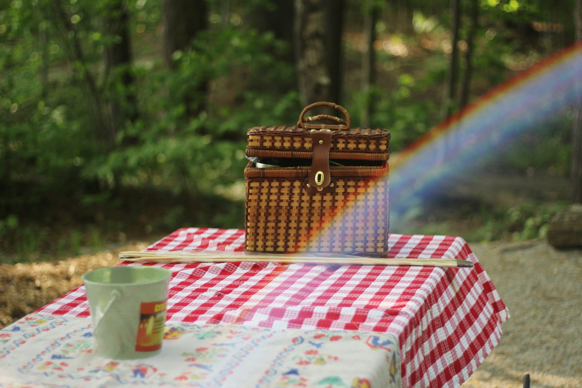Dicas para tornar as atividades de primavera ao ar livre mais sustentáveis mantendo toda a vivência e diversão ao máximo
